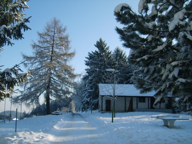 Prihod devetošolcev v šolo v naravi